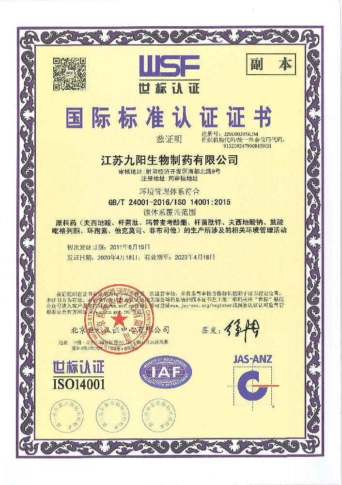 Chinese version of environmental management system