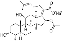 a1f39a9c7a71f4b156bee7f10bbc9a21_e179b2d2-f4c1-4766-b559-29789d3f33f3.png