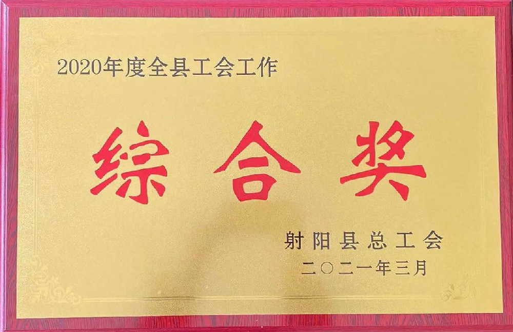 综合奖.jpg
