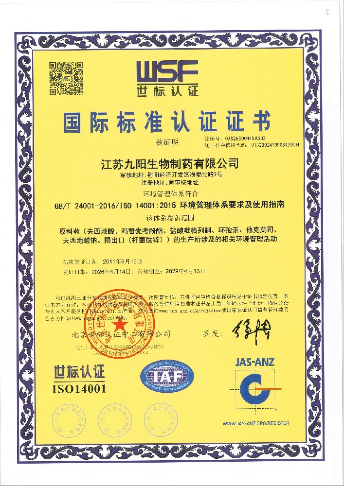 Chinese version of environmental management system